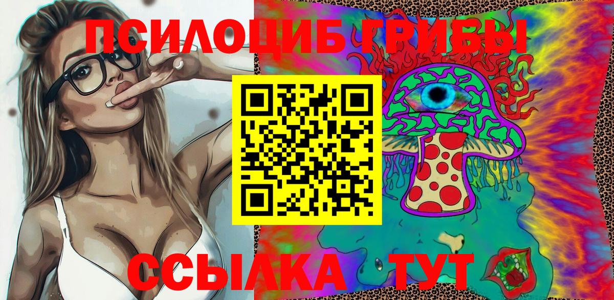 Галлюциногенные грибы Psilocybe Урус-Мартан