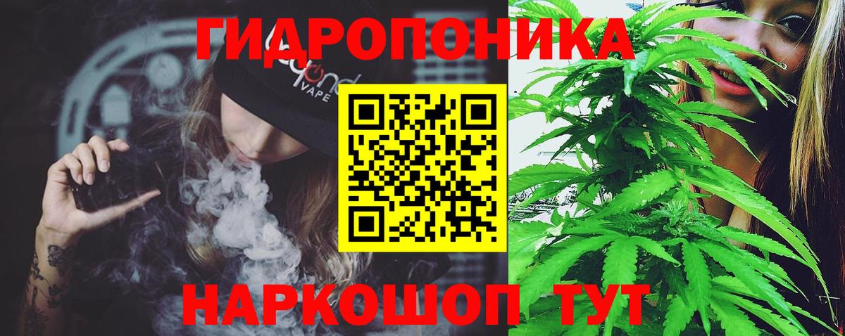 Урус-Мартан  Бошки Шишки THC 21%  МАРИХУАНА гибрид  Вход с VPN 
